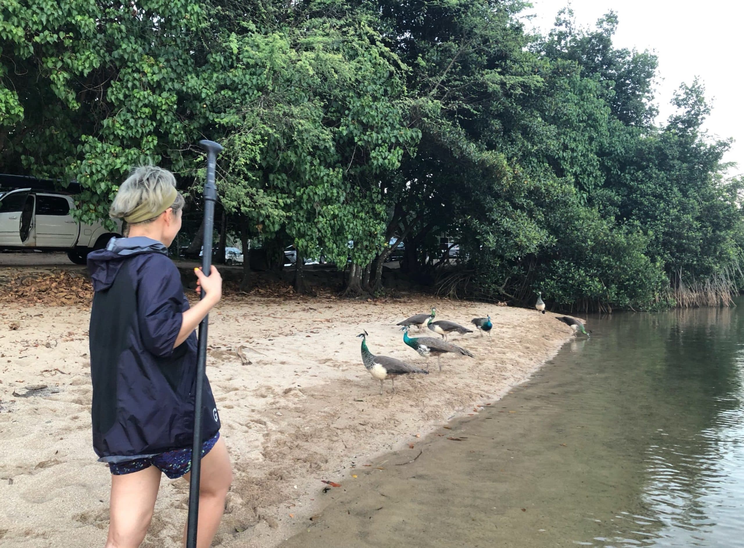 What Wildlife Should I Expect on the Anahulu River? photo 5