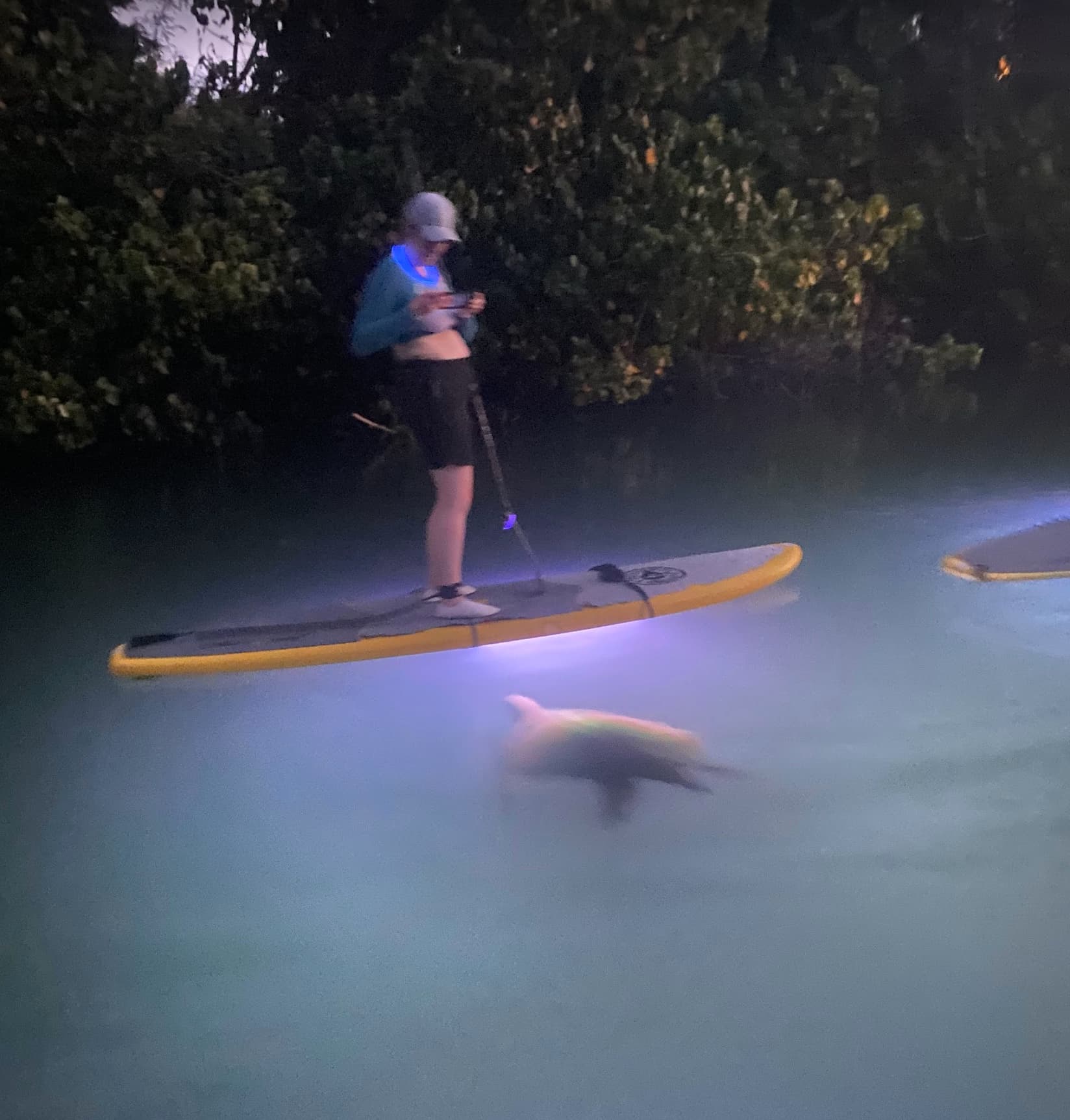 Twilight GLOW Paddle on dark water