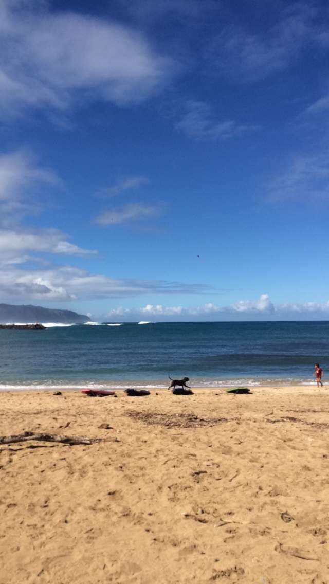 What Is Better Than a Day at the Beach?